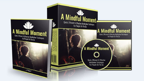 A Mindful Moment - Quick and Effective Meditation Techniques - SelfhelpFitness