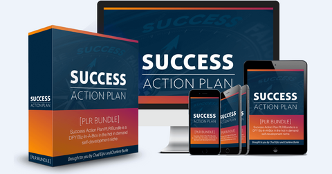 Success Action Plan - 10-Days 10 Step Success Action Plan - SelfhelpFitness
